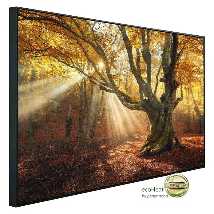 Papermoon Infrarot-Bildheizkörper Magischer alter Baum 1 - 60 x 50 cm, 350 W - Das EcoHeat Infrarotpaneel zeigt ein idyllisches Herbstwaldbild mit Sonnenstrahlen, gerahmt und hochwertig verarbeitet.