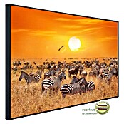 Papermoon Infrarot-Bildheizkörper Afrikanische Antilopen und Zebras (60 x 60 cm, 350 W) | BAUHAUS
