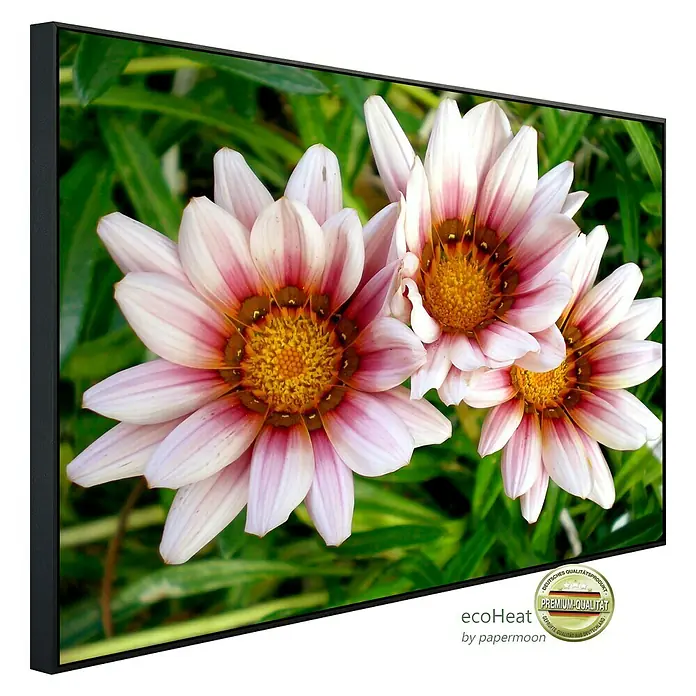 Papermoon Infrarot-Bildheizkörper Afrikanische Gazania Blumen - 100 x 60 cm, 800 W - Dekoratives Wandbild mit zarten rosa Blüten vor grünem Hintergrund, gerahmt in elegantem Schwarz.