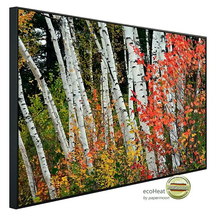 Papermoon Infrarot-Bildheizkörper Herbst Birkenwald 1 - 100 x 60 cm, 800 W - Gerahmtes Premium-Qualitätsbild mit Birkenwald im Herbst, detailreich und farbintensiv.