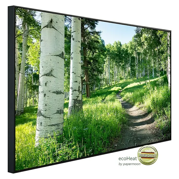 Papermoon Infrarot-Bildheizkörper Birkenbaumpfad - 100 x 60 cm, 800 W - Das gerahmte Bild zeigt einen friedlichen Waldweg mit hellen Birkenstämmen und üppigem Grün, ideal für eine entspannende Atmosphäre im Raum.