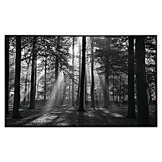 Papermoon Infrarot-Bildheizkörper Forest Morgen in schwarz+weiss (100 x 60 cm, 600 W)