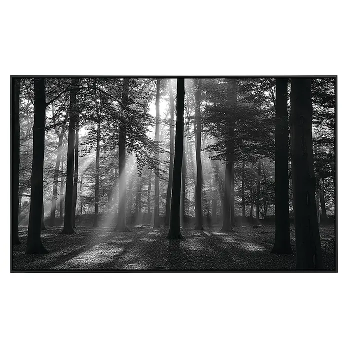 Papermoon Infrarot-Bildheizkörper Forest Morgen in schwarz+weiss - 100 cm x 600 mm, 800 W - Schwarz-Weiß-Druck eines Waldes mit Sonnenstrahlen, gerahmt in elegantem Schwarz. Stimmungsvolle Waldszene für Ihr Zuhause.
