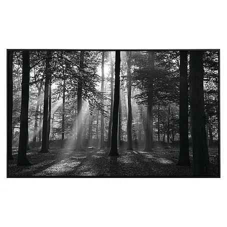 Papermoon  Infrarot-Bildheizkörper Forest Morgen in schwarz+weiss