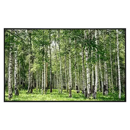 Papermoon  Infrarot-Bildheizkörper Birkenwald 1