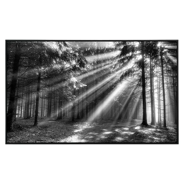Papermoon Infrarot-Bildheizkörper Waldlichtung - 60 cm x 500 mm, 350 W - Schwarzer Rahmen mit einem Schwarz-Weiß-Foto eines Waldes mit Sonnenstrahlen, die durch die Bäume scheinen.