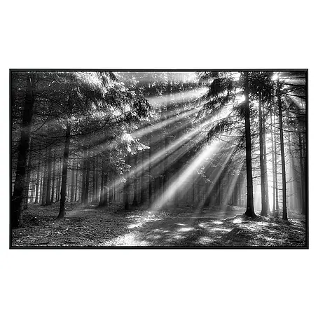Papermoon  Infrarot-Bildheizkörper Waldlichtung