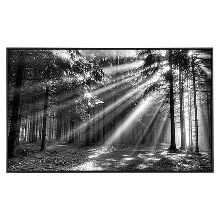 Papermoon  Infrarot-Bildheizkörper Waldlichtung