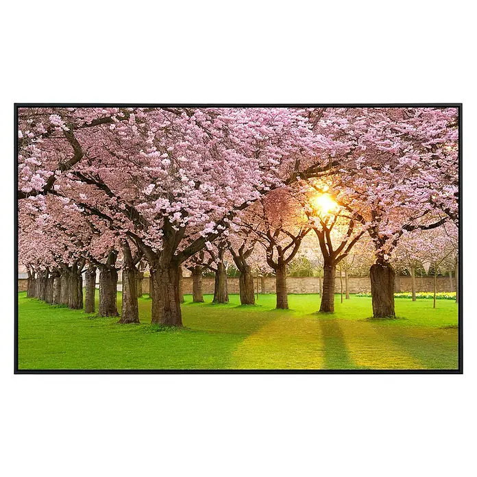 Papermoon Infrarot-Bildheizkörper Kirschbaumgarten - 120 cm x 600 mm, 1.200 W - Ein beeindruckendes Bild von blühenden Kirschbäumen in einer Parklandschaft mit sanftem Sonnenlicht, das die Szene verzaubert.