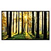 Papermoon Infrarot-Bildheizkörper Sonniger Wald (60 cm x 500 mm, 350 W) | BAUHAUS
