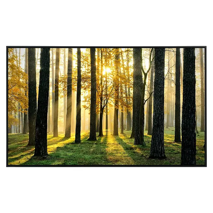 Papermoon Infrarot-Bildheizkörper Sonniger Wald60 x 60 cm, 350 W - Waldlandschaft im goldenen Licht. Die Sonnenstrahlen scheinen durch die Bäume und erzeugen eine magische Atmosphäre.