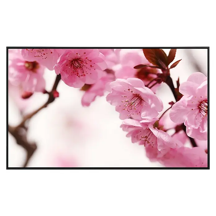 Papermoon Infrarot-Bildheizkörper Pfirsichblüte - 90 cm x 500 mm, 450 W - Nahaufnahme von zarten, rosafarbenen Kirschblüten an einem Ast. Die Blütenblätter sind detailliert und die Farben sanft.