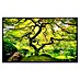 Papermoon Infrarot-Bildheizkörper Japanischer Ahornbaum 