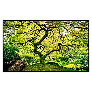 Papermoon Infrarot-Bildheizkörper Japanischer Ahornbaum (80 x 60 cm, 450 W)