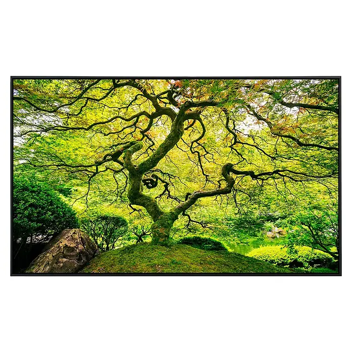 Papermoon Infrarot-Bildheizkörper Japanischer Ahornbaum - 100 cm x 600 mm, 600 W - Nahaufnahme eines gerahmten Fotos, das einen kunstvoll geformten Baum mit grüner und gelber Belaubung in einem Garten zeigt.