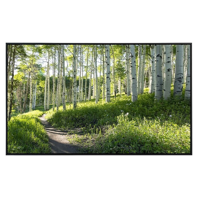 Papermoon Infrarot-Bildheizkörper Birkenwanderweg (120 cm x 600 mm, 1 200 W) | BAUHAUS