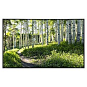 Papermoon Infrarot-Bildheizkörper Birkenwanderweg (120 cm x 600 mm, 1 200 W) | BAUHAUS