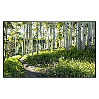 Papermoon Infrarot-Bildheizkörper Birkenwanderweg (120 cm x 600 mm, 1 200 W)
