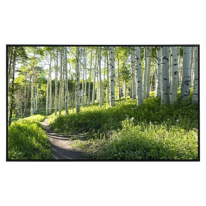 Papermoon Infrarot-Bildheizkörper Birkenwanderweg - 60 cm x 500 mm, 350 W - Helle Birken säumen einen Pfad durch üppiges Grün, eingefangen in einem stimmungsvollen Landschaftsbild.