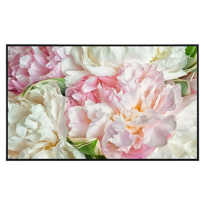 Papermoon Infrarot-Bildheizkörper Blühende Pfingstrosen - 120 cm x 600 mm, 1.000 W - Nahaufnahme eines gerahmten Gemäldes von zarten rosa und weißen Pfingstrosen, die in einem weichen Licht erstrahlen.