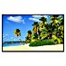 Papermoon Infrarot-Bildheizkörper Exotischer Palm Beach 