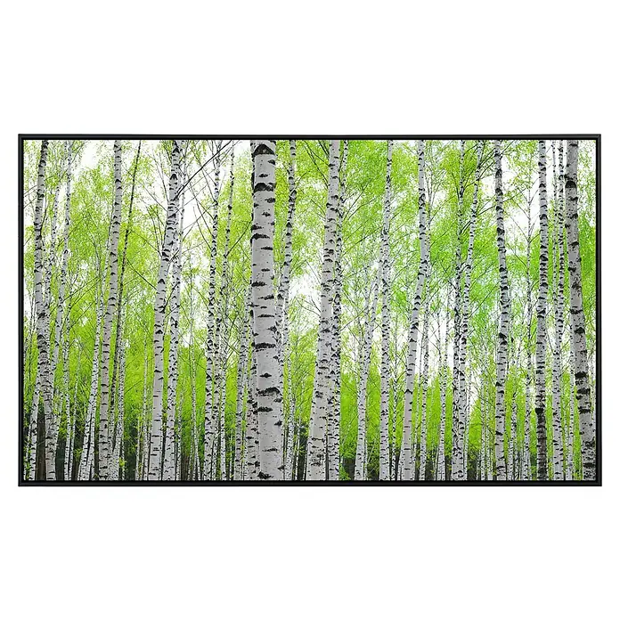 Papermoon Infrarot-Bildheizkörper Bienwald - 120 cm x 600 mm, 1.200 W - Gerahmtes Bild mit Birkenwald im Frühling. Das Gemälde zeigt Birkenstämme mit frischem, grünem Laub vor hellem Hintergrund.
