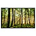 Papermoon Infrarot-Bildheizkörper Wald 