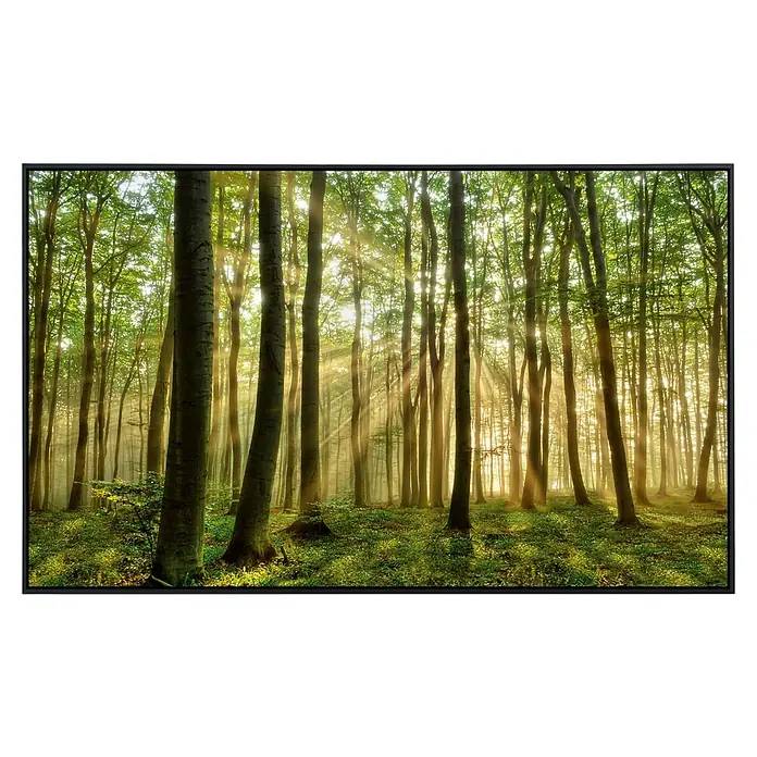 Papermoon Infrarot-Bildheizkörper Wald - 90 cm x 500 mm, 450 W - Waldlandschaft im Bilderrahmen mit strahlendem Sonnenlicht zwischen den Bäumen, das eine friedliche und natürliche Atmosphäre erzeugt.
