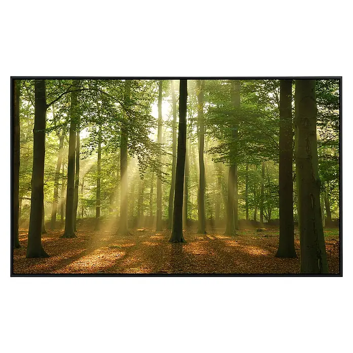 Papermoon Infrarot-Bildheizkörper Wald am Morgen - 100 x 60 cm, 600 W - Ein gerahmtes Bild zeigt einen Wald mit Sonnenstrahlen, die durch die Bäume scheinen. Die Blätter bedecken den Boden und erzeugen eine warme Atmosphäre.