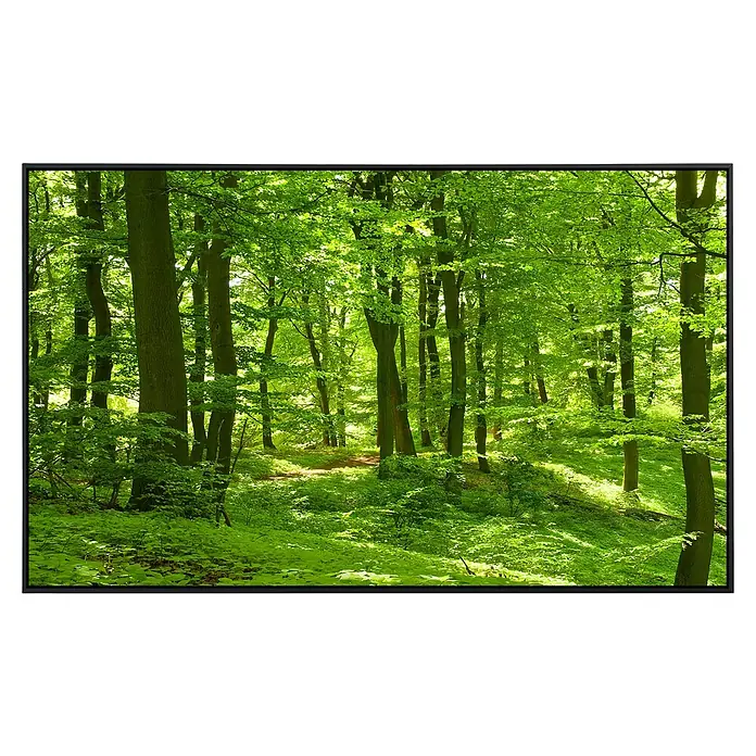 Papermoon Infrarot-Bildheizkörper Wald im Frühling - 100 cm x 600 mm, 600 W - Üppiger Wald mit dichtem Grün und sanftem Sonnenlicht, das durch die Baumkronen dringt.