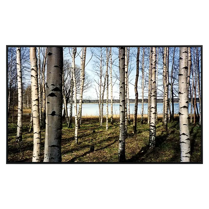 Papermoon Infrarot-Bildheizkörper Finnischer Bienwald - 100 cm x 600 mm, 600 W - Blick auf einen Birkenwald im Frühling, der sich vor einem ruhigen See erstreckt. Die schlanken, weißen Stämme heben sich vom blauen Wasser ab.