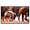 Papermoon Infrarot-Bildheizkörper Elefantenherde 1 (100 x 60 cm, 600 W) | BAUHAUS