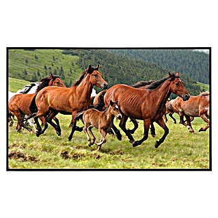 Papermoon Infrarot-Bildheizkörper Wilde Pferde (80 x 60 cm, 450 W)