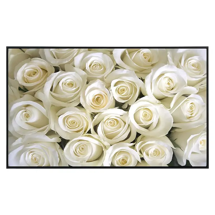 Papermoon Infrarot-Bildheizkörper Weiße Rosen - 100 cm x 600 mm, 800 W - Nahaufnahme vieler weißer Rosen mit eleganten Blütenblättern und einem Hauch von Cremefarbe, gerahmt in einem eleganten schwarzen Rahmen.