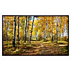 Papermoon Infrarot-Bildheizkörper Herbstwald 1 (100 x 60 cm, 600 W) | BAUHAUS