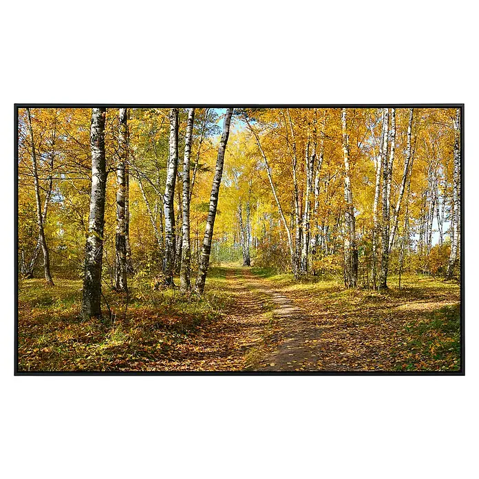 Papermoon Infrarot-Bildheizkörper Herbstwald 1 - 100 x 60 cm, 800 W - Herbstlicher Birkenwaldweg mit goldenem Laub, der die ruhige Schönheit der Natur in voller Pracht zeigt.