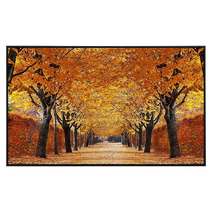 Papermoon Infrarot-Bildheizkörper Herbstgasse - 120 cm x 600 mm, 1.000 W - Ein gerahmtes Foto, das eine Baumallee mit leuchtend gelben Blättern im Herbst zeigt. Der Weg ist mit Laub bedeckt, die Bäume bilden einen Tunnel.