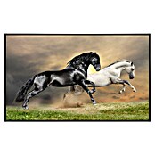 Papermoon Infrarot-Bildheizkörper Pferde schwarz weiss (100 cm x 600 mm, 600 W) | BAUHAUS
