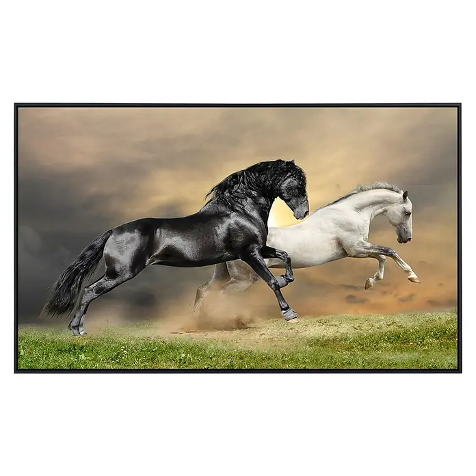 Papermoon Infrarot-Bildheizkörper Pferde schwarz weiss - 60 cm x 500 mm, 350 W - Bild eines gerahmten Gemäldes von zwei prächtigen Pferden, einem schwarzen und einem weißen, die auf einem Feld galoppieren.