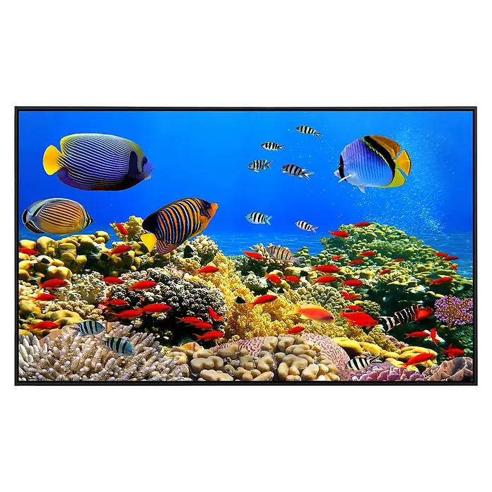Papermoon Infrarot-Bildheizkörper Korallenkolonie Rotes Meer - 120 x 60 cm, 1.200 W - Aquarium-Hintergrundbild mit einer Vielzahl von bunten Fischen, Korallen und einem strahlend blauen Ozean.