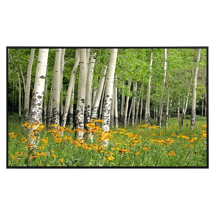 Papermoon Infrarot-Bildheizkörper Aspen Grove + Orange Wildflowers - 60 x 50 cm, 350 W - Lichtdurchflutete Szene eines Birkenhains mit gelben Wildblumen im Vordergrund, die die friedliche Atmosphäre der Natur unterstreichen.