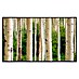 Papermoon Infrarot-Bildheizkörper Aspen Woods im Sommer 