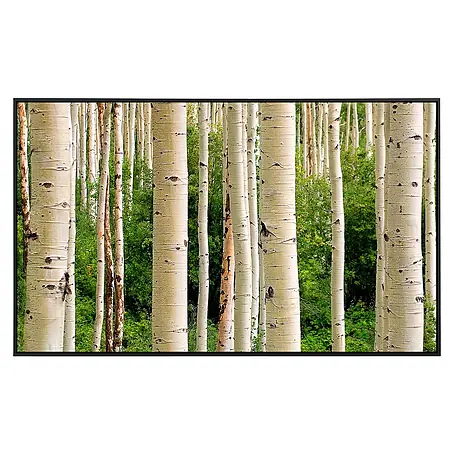 Papermoon  Infrarot-Bildheizkörper Aspen Woods im Sommer