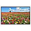 Papermoon Infrarot-Bildheizkörper Garten Butterblumen (120 x 60 cm, 1 000 W) | BAUHAUS