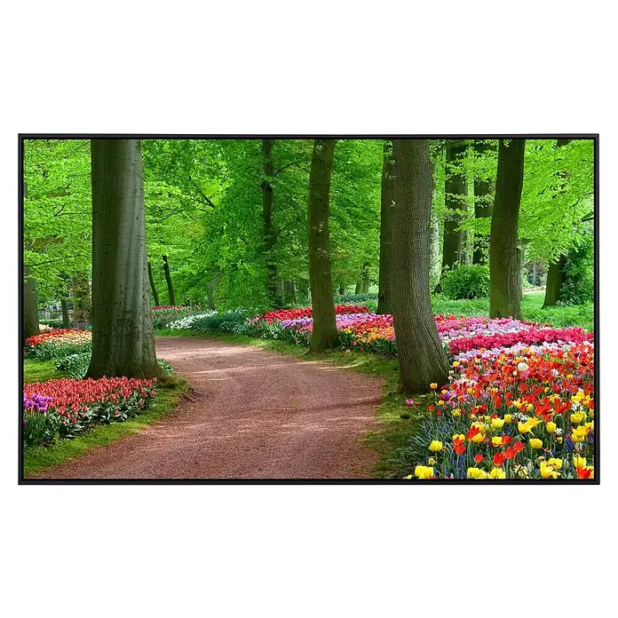 Papermoon Infrarot-Bildheizkörper Tulpen Frühlingslandschaft - 100 x 60 cm, 600 W - Farbenprächtiger Tulpenpfad windet sich durch einen Wald mit üppigem Grün, umrahmt von Bäumen. Eine Oase der Ruhe für erholsame Spaziergänge.