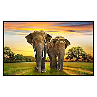 Papermoon Infrarot-Bildheizkörper Elefantenfamilie (60 x 60 cm, 350 W)