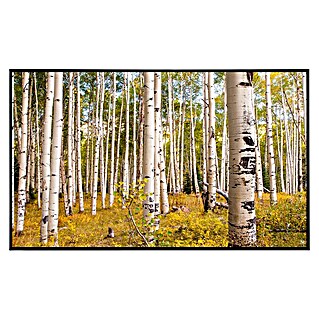 Papermoon Infrarot-Bildheizkörper Birken in Colorado Rocky Mountains (120 x 75 cm, 900 W)