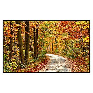 Papermoon Infrarot-Bildheizkörper Weg im bunten Herbstwald (120 x 60 cm, 750 W)