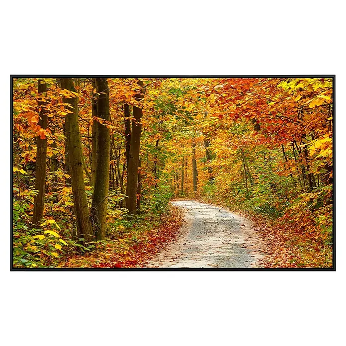 Papermoon Infrarot-Bildheizkörper Weg im bunten Herbstwald - 120 x 60 cm, 1.200 W - Herbstlicher Waldweg im Bilderrahmen. Die bunten Blätter der Bäume leuchten in warmen Farben und laden zu einem Spaziergang ein.