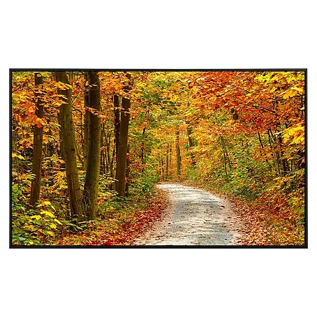 Papermoon  Infrarot-Bildheizkörper Weg im bunten Herbstwald